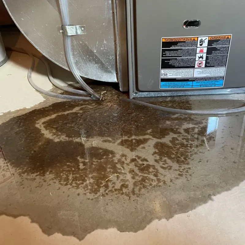 Pipe Burst and Leak Restoration in Turner, ME