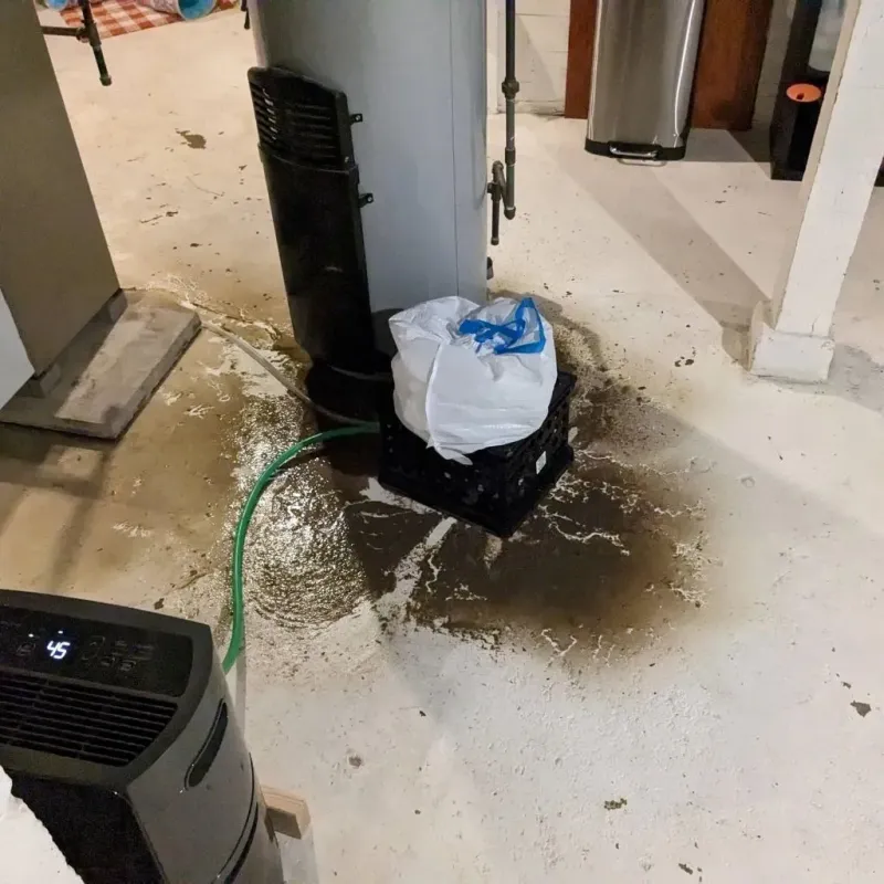 Sewage Backup Cleanup Service in Turner, ME